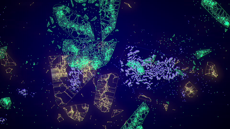 clip_007_004116557 exemplar