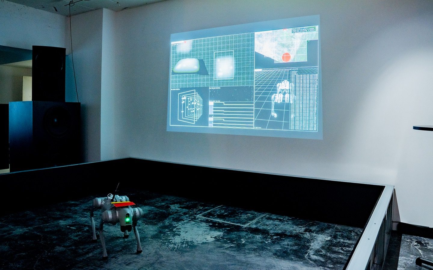 Autonomous Robot Control through Living Neural Networks