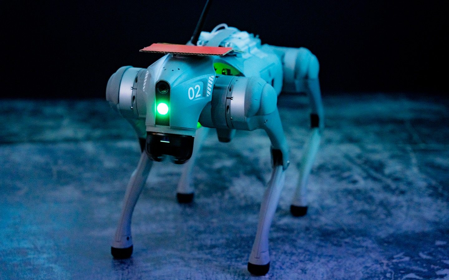 『神経細胞による自律型ロボット制御実験』