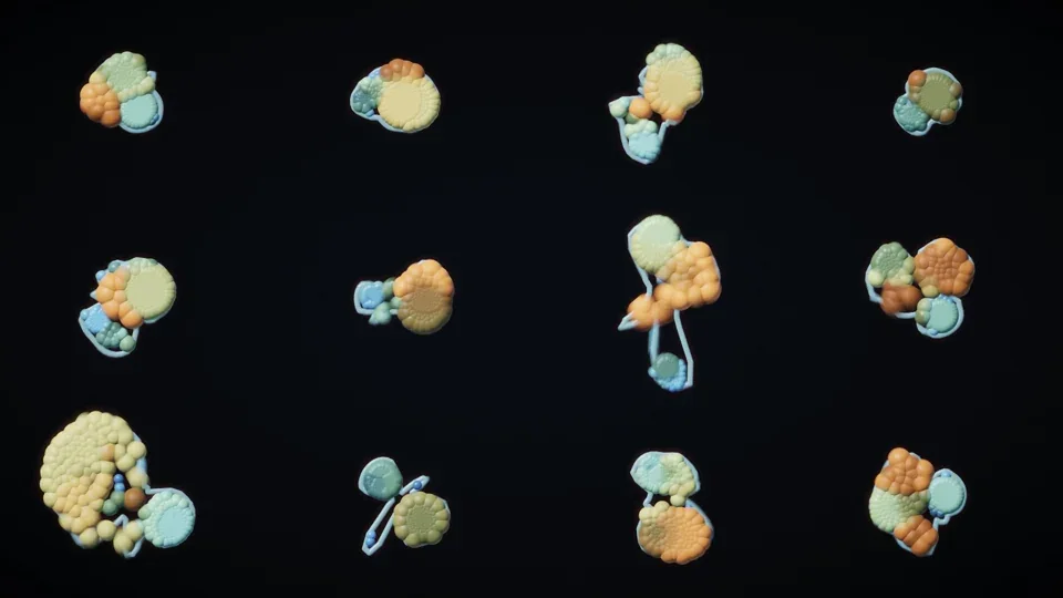 Cellular Group