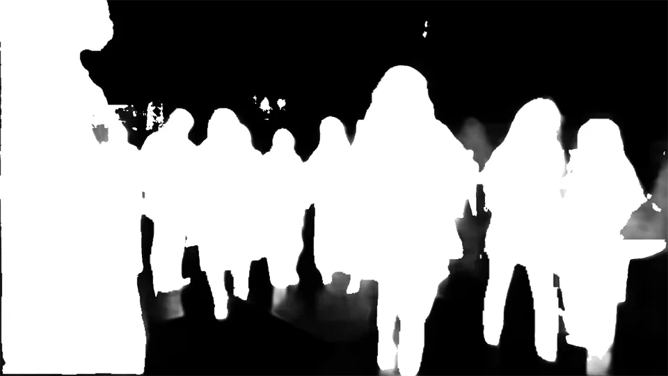 Human mask generated from semantic segmentation